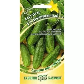 Огурец Малохольный F1