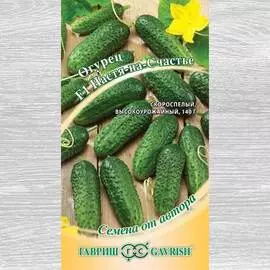 Огурец Настя на Счастье F1