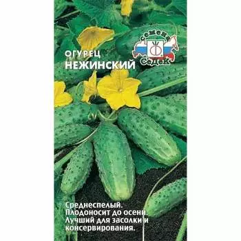 Огурец Нежинский Седек