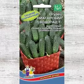 Огурец Ниагарский водопад F1
