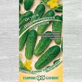 Огурец НовоСибирский