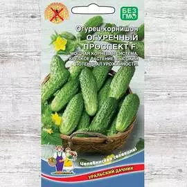 Огурец Огуречный проспект F1