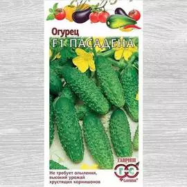 Огурец Пасадена F1