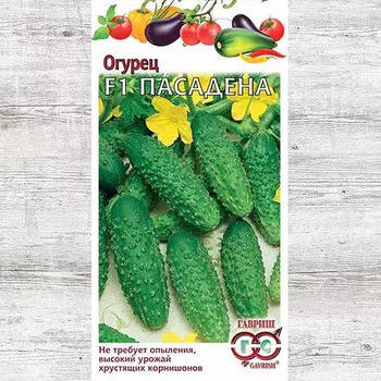 Огурец Пасадена F1 Гавриш
