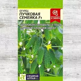 Огурец Пучковая семейка F1