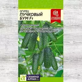 Огурец Пучковый бум F1