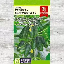Огурец Ребята-Пикулята F1