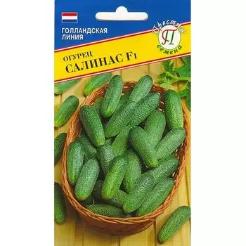 Огурец Салинас F1 Престиж