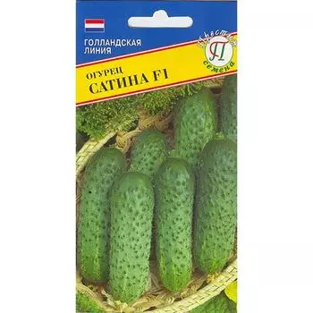 Огурец Сатина F1 Престиж