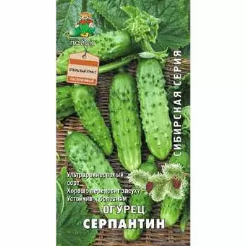 Огурец Серпантин Поиск