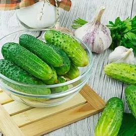 Огурец Шопен F1