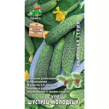 Огурец Шустрец-молодец F1 Поиск