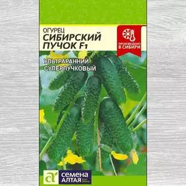 Огурец Сибирский пучок F1