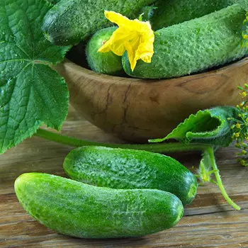 Огурец Сладкий хруст Уральский дачник