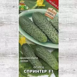 Огурец Спринтер F1