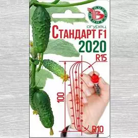 Огурец Стандарт 2020 F1