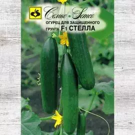 Огурец Стелла F1