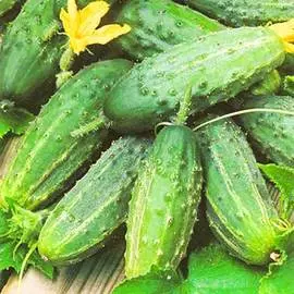 Огурец Супремо F1