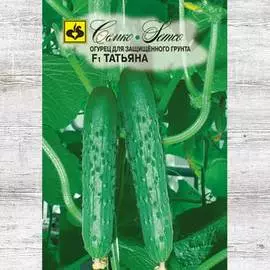 Огурец Татьяна F1