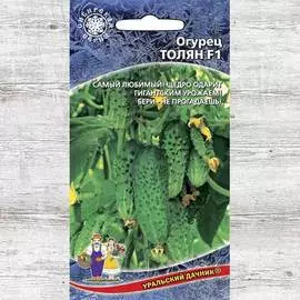 Огурец Толян F1