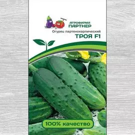 Огурец Троя F1