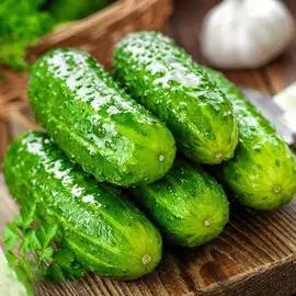 Огурец Сибирский вьюговей F1