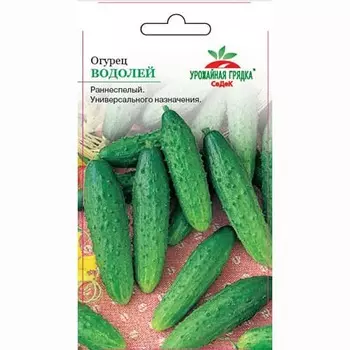 Огурец Водолей Седек