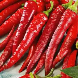 Перец острый Флорентина F1