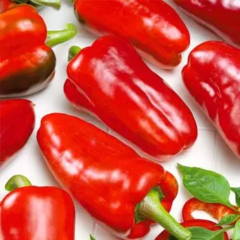 Перец сладкий Новосибирский