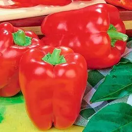 Перец сладкий Регор F1