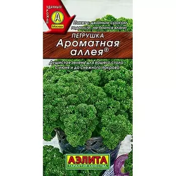 Петрушка кудрявая Ароматная аллея Аэлита