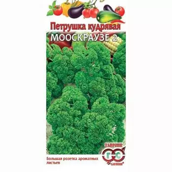 Петрушка кудрявая Мооскраузе 2 Гавриш