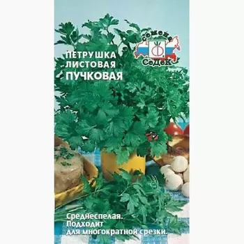 Петрушка листовая Пучковая Седек