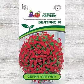 Петуния Лагуна Беатрис F1