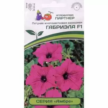 Петуния многоцветковая каскадная Амбре Габриэла F1 Партнер