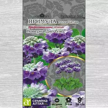 Примула Новерна Дип Блю