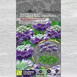Примула Новерна Дип Блю