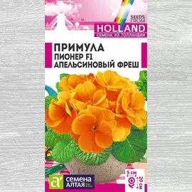 Примула Пионер Апельсиновый фреш F1
