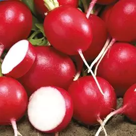 Редис Черриэт F1