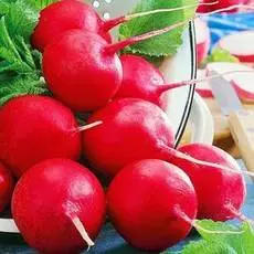 Редис Кармен