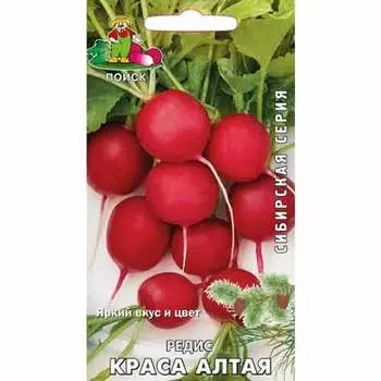 Редис Краса Алтая Поиск