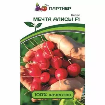 Редис Мечта Алисы F1 Партнер