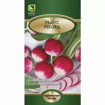 Редис Рекорд Поиск