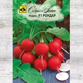 Редис Рондар F1