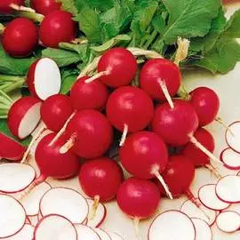 Редис Рокстар F1