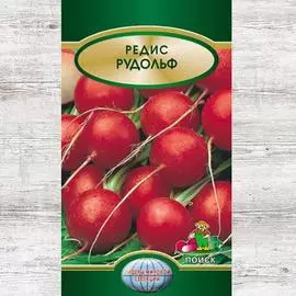 Редис Рудольф