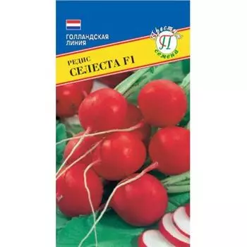 Редис Селеста F1 Престиж