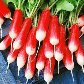 Редис Сладкоежка