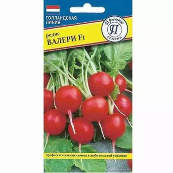 Редис Валери F1 Престиж