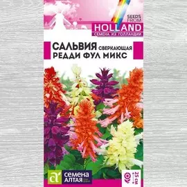 Сальвия Редди Фул, смесь окрасок